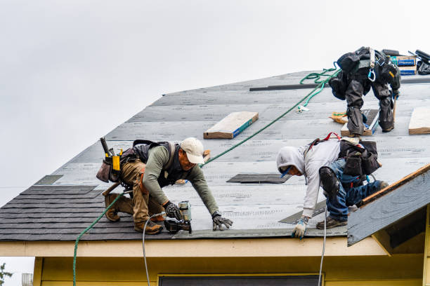 Professional Roofing technician working in Little York, NY